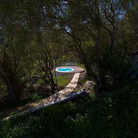 Agroturismo Suites Hacienda Los Olivos Santa Brígida Εξωτερικό φωτογραφία